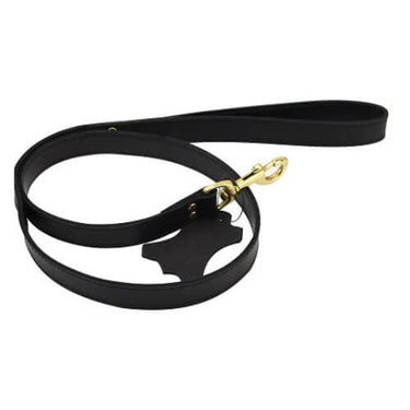 a black leash with a gold buckle on a white background